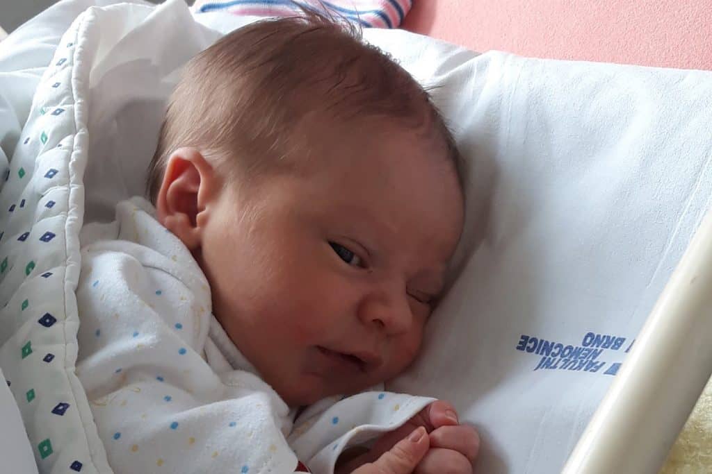 děti po&nbsp;IVF