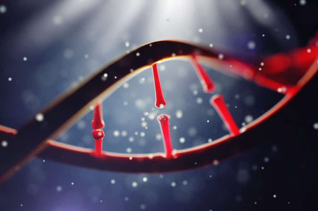 Externí kontrola v Laboratoři lékařské genetiky 8 - Sanatorium Helios CZ molekula DNA